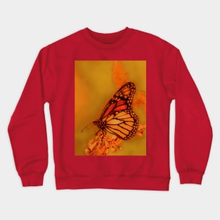 Butterfly Crewneck Sweatshirt